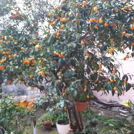 Da Gio' Casa vacanze